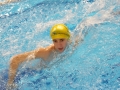 SA1_33090037.jpg