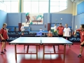 SA1_2233pingpong.jpg