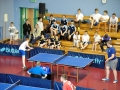 SA1_2320pingpong.jpg