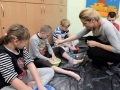 SEBA0721plastyka.jpg