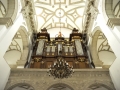 SEB_1888WYCIECZKA-ZAMOŚĆ.jpg