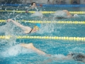 SEB_74260022.jpg
